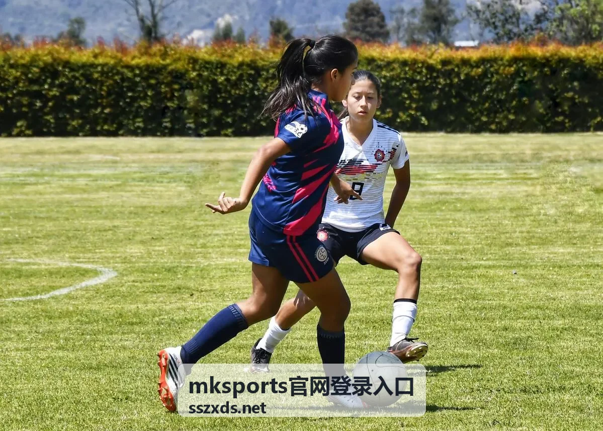 mksports官网登录入口账号异常登录提示的处理方式