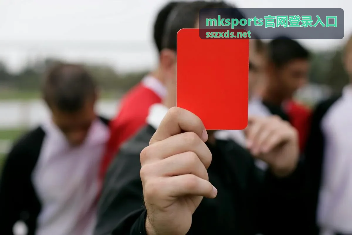 mksports官网登录入口加载异常时的排查顺序