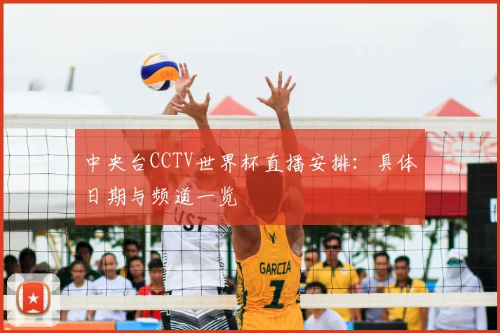 中央台CCTV世界杯直播安排:具体日期与频道一览