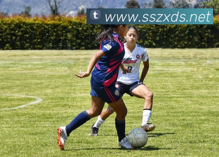 核心证书